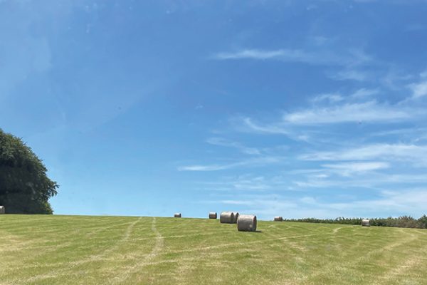The Farming Investment Fund