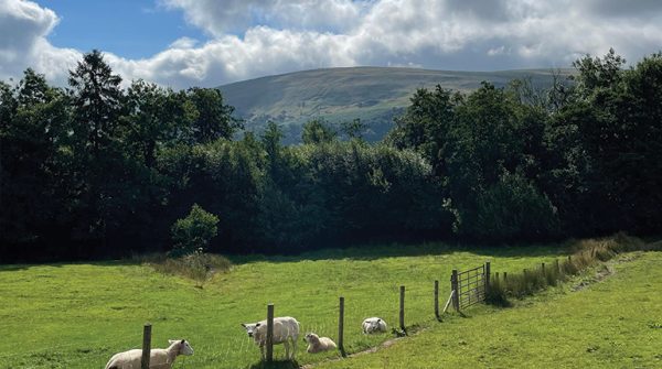 The Farming Transformation Fund