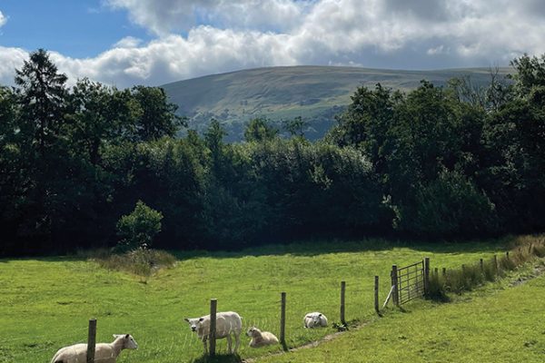 The Farming Transformation Fund
